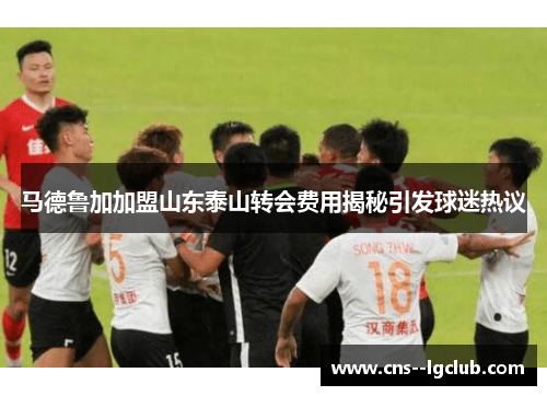 马德鲁加加盟山东泰山转会费用揭秘引发球迷热议